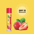 thumbnail image 2 of Carmex Moisturizing Lip Balm Variety Pack, 10 ct., 2 of 8