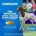 thumbnail image 8 of Nutramax Cosequin Minis Maximum Strength Joint Health Supplement, 45 Soft Chews, 8 of 10