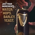 thumbnail image 2 of Guinness Draught Irish Stout Ale Beer, 14.9 fl. oz. can, 8 pk., 2 of 13