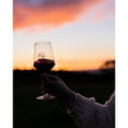 thumbnail image 3 of Two Hands Angels' Share Shiraz Wine, 750 ml, 3 of 5