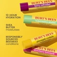 thumbnail image 5 of Burt’s Bees Drink Inspired Lip Balm Pack, Limited Edition 10 pk., 5 of 11