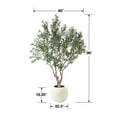 thumbnail image 5 of Member's Mark Faux 8' Deluxe Olive Tree in Oversized Cream Pot, 5 of 5