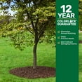 thumbnail image 5 of Member's Mark Rubber Mulch, 1.25 cu. ft., 5 of 11