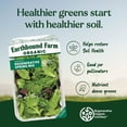 thumbnail image 3 of Organic Spring Mix, 16 oz., 3 of 7