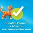 thumbnail image 4 of Purina Kit & Kaboodle Original Adult Dry Cat Food, 38 lbs., 4 of 9