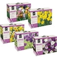 thumbnail image 1 of Member's Mark Landscape Boxed Bulbs, 1 of 11