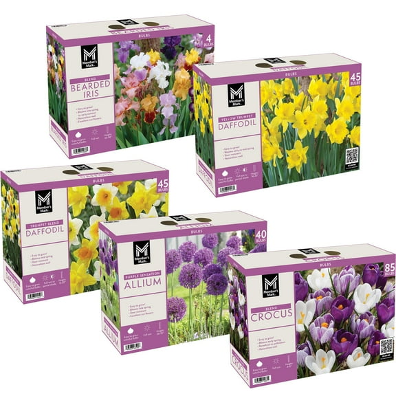 Member's Mark Landscape Boxed Bulbs