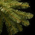 thumbnail image 5 of National Tree Company 10' Dunhill Fir Pre-Lit Christmas Tree, 5 of 8