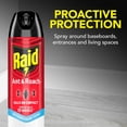 thumbnail image 3 of Raid® 3 Pack: Raid® Ant & Roach Killer 26 Outdoor Fresh 17.5oz, Raid® Wasp & Hornet Killer 33 17.5oz, Raid ® Multi Insect Killer 7 15oz, 3 of 8