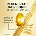 thumbnail image 2 of Pantene Pro-V Miracles Extreme Damage Care Regenerative Oil Blend Shampoo & Conditioner,  30 fl. oz., 2 pk., 2 of 9