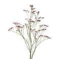 thumbnail image 3 of Member's Mark Limonium, 60 Stems, choose color, 3 of 6