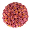 thumbnail image 2 of Member's Mark Farm Fresh Velvet Roses, choose color and stem count, 2 of 9