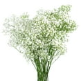 thumbnail image 2 of Member's Mark Gypsophila and Leatherleaf 10 bunches, 2 of 4