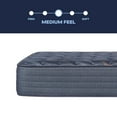 thumbnail image 3 of Sealy Harrod's Hill Medium Mattress, 3 of 11