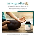 thumbnail image 8 of Youtheory Ashwagandha 1000 mg. Vegetarian Capsules, 150 ct., 8 of 9