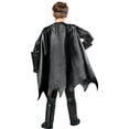 thumbnail image 6 of Batman The Dark Knight Muscle Chest Children's Costume, 6 of 7