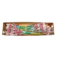 thumbnail image 8 of Member's Mark Gerbera Daisies, choose color and stem count, 8 of 8