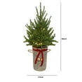 thumbnail image 3 of Member's Mark 48" Pre-Lit Topiary in Woven Basket, 3 of 5
