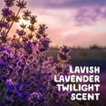 thumbnail image 5 of Gain + Odor Defense Boost In-Wash Laundry Scent Booster Beads, Lavender Twilight Scent, 28.3 oz, 5 of 8