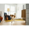 thumbnail image 11 of SimpliSafe 8pc. Indoor Security Kit, 11 of 11