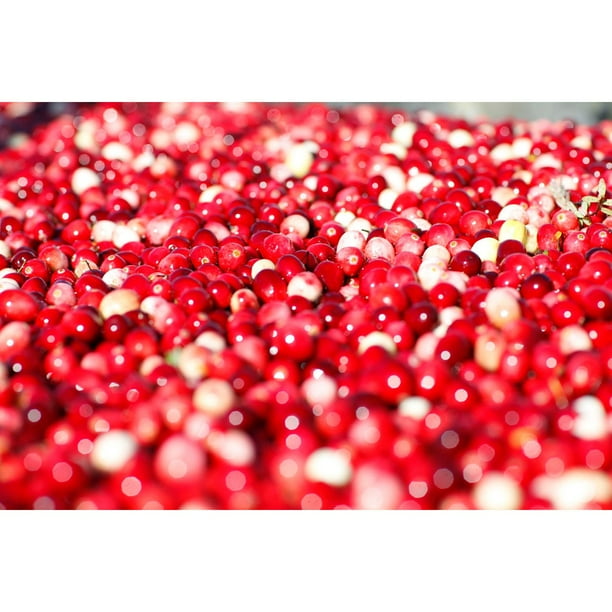Cranberries, 2 lbs. - Samsclub.com