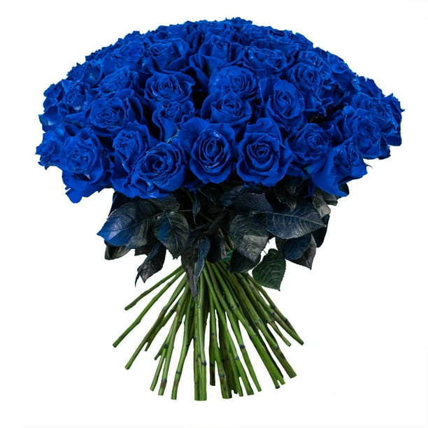 Member's Mark Farm Fresh Velvet Roses, choose color and stem count