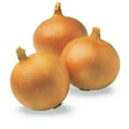 thumbnail image 4 of Organic Yellow Onions, 5 lbs., 4 of 6