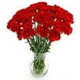 thumbnail image 5 of Member's Mark Carnations, Choose color and stem count, 5 of 7