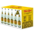 thumbnail image 4 of Topo Chico Sparkling Mineral Water 16.9 fl. oz., 18 pk., 4 of 9