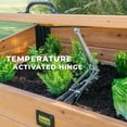 thumbnail image 12 of Backyard Discovery 4' x 2' Mini Greenhouse with Temp-Activated Lid, 12 of 15