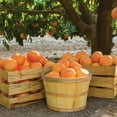thumbnail image 4 of Texas Grapefruits, 8 lbs., 4 of 6