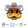 thumbnail image 4 of Logo Brands Texas Longhorns Puff Pillow, 4 of 5