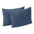 thumbnail image 1 of HGTV 2-Pack Fun Cloud Bed Pillow, 20" x 28", 1 of 5