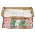 thumbnail image 4 of Member's Mark Gerbera Daisies, choose color and stem count, 4 of 4