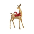 thumbnail image 4 of Member's Mark 3-Piece Pre-Lit Animated Deer Family, 4 of 6