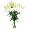 thumbnail image 2 of Member's Mark LA Hybrid Lilies, choose color and stem count, 2 of 8