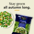 thumbnail image 5 of Taylor Farms Caesar Salad Kit, 16.9 oz., 5 of 6