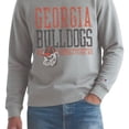 thumbnail image 4 of Champion NCAA Grey Crewneck Sweatshirt, 4 of 6