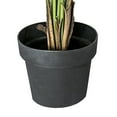 thumbnail image 4 of Faux 72" Palm Tree in a Pot, 4 of 6