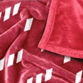 thumbnail image 5 of Logo Brands Iowa State Cyclones 60"x70" Super Plush Blanket, 5 of 7