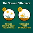 thumbnail image 6 of Spruce Snap & Spray Weed & Grass Killer Powered Starter Kit + EZ AIM, 74 oz, 6 of 9