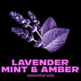 thumbnail image 5 of AXE Premium Deodorant Body Spray, Blue Lavender, 4 oz., 3 pk., 5 of 8