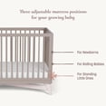 thumbnail image 3 of Little Seeds Pala 4-in-1 Convertible Crib, Choose Color, 3 of 10