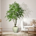thumbnail image 5 of Faux 8' Deluxe Ficus Tree in Oversized Cream Pot, 5 of 6