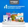 thumbnail image 10 of Nutramax Cosequin Maximum Strength Joint Health Dog Supplement with MSM and Hyaluronic Acid, 180 ct., 10 of 11