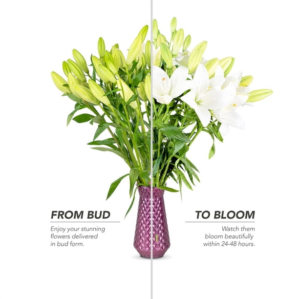 Member's Mark LA Hybrid Lilies, choose color and stem count