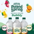 thumbnail image 2 of Poland Spring Sparkling Water Variety Pack, 16.9 fl. oz., 24 pk., 2 of 9