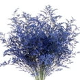 thumbnail image 1 of Member's Mark Limonium, 15 bunches, Choose color, 1 of 2