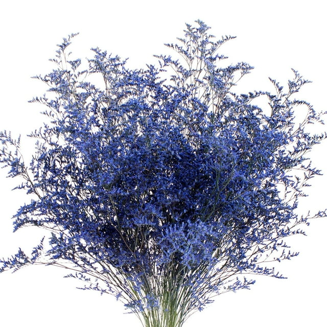 Member's Mark Limonium, 15 bunches, Choose color