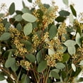 thumbnail image 3 of Member's Mark Seeded Eucalyptus Greenery, 40 stems, 3 of 4